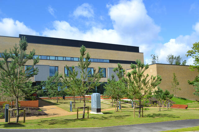 Altnagelvin, landscaping by Cameron Landscapes