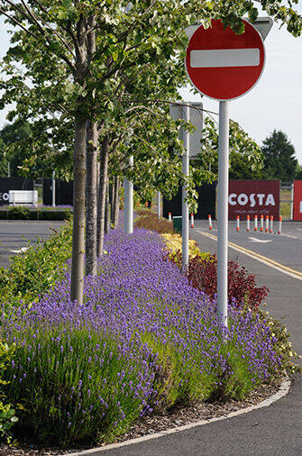 The Outlet - Banbridge