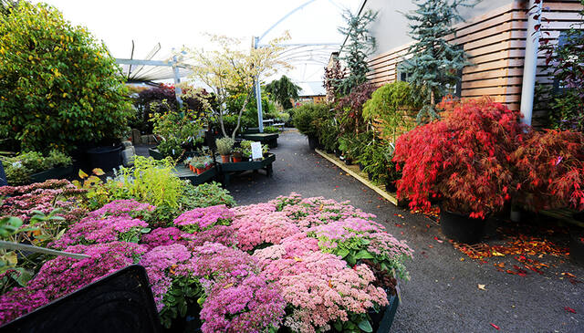 Cameron's Garden Centre