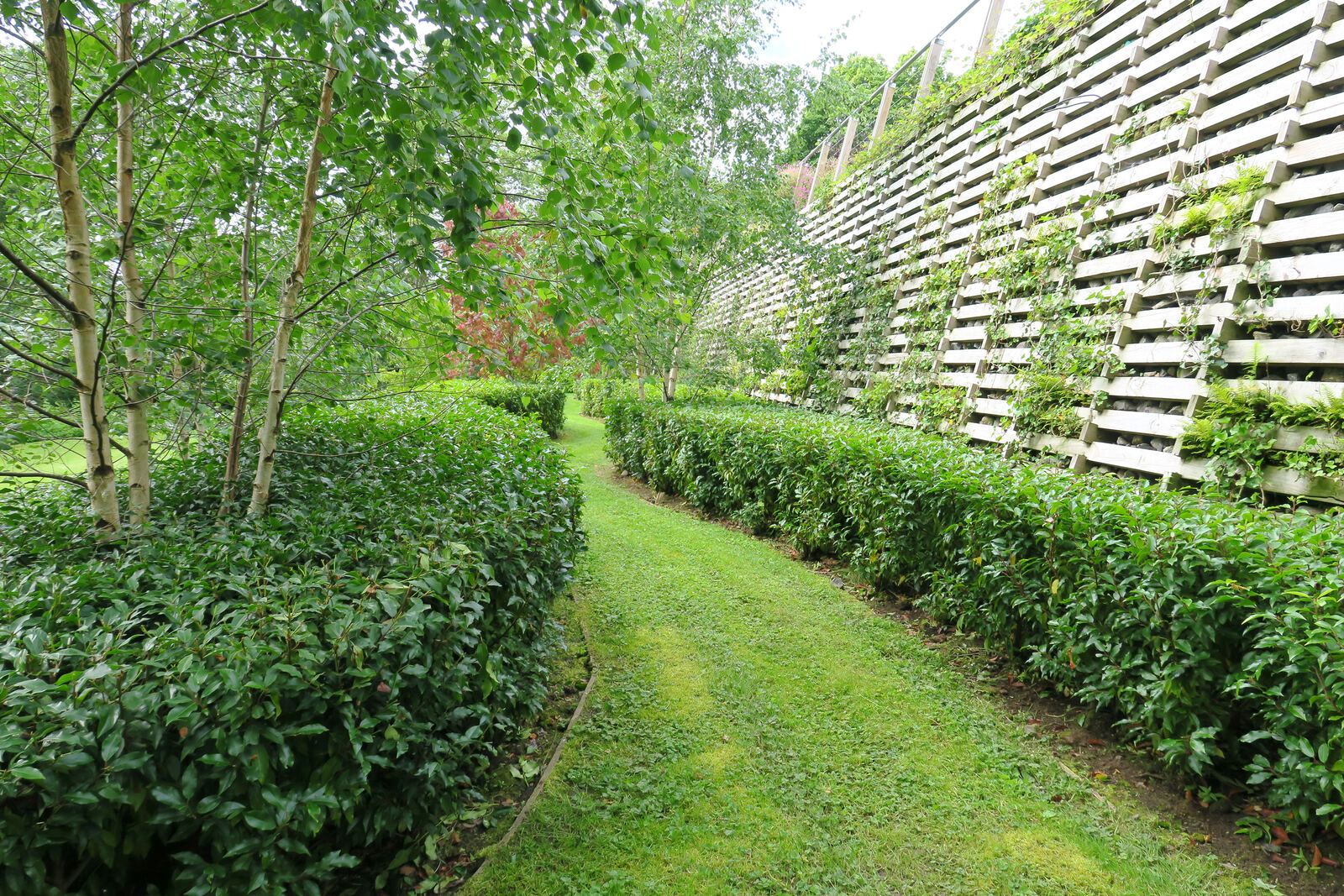 Landscaped private garden in Fermanagh