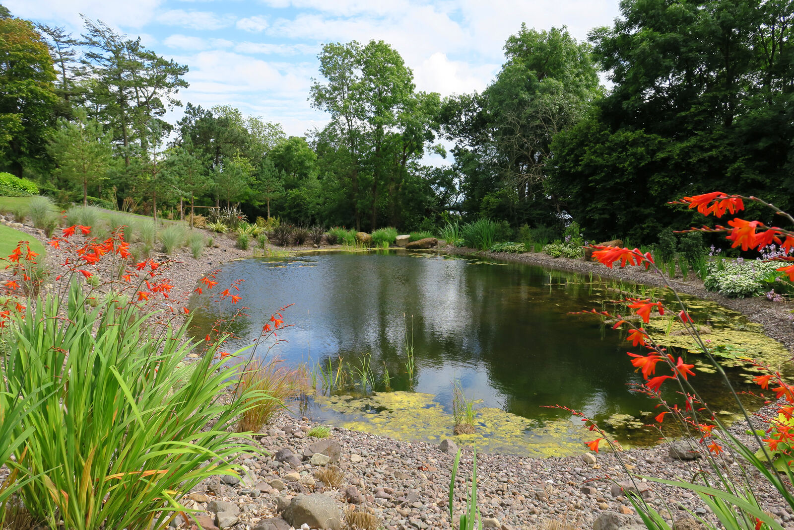 Private garden in Fermanagh