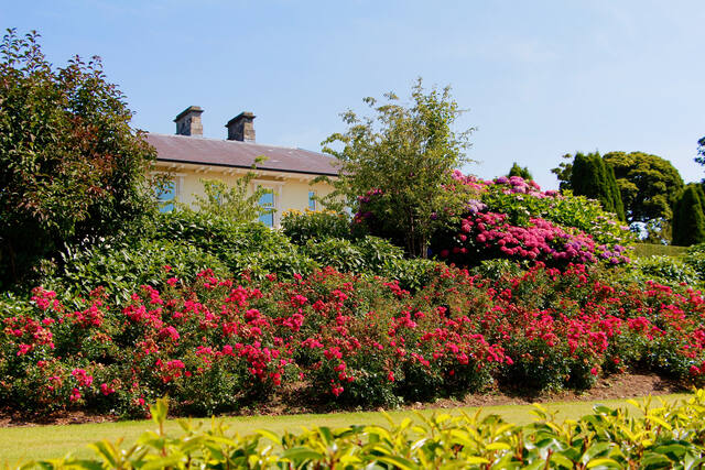 Fermanagh, landscaping by Cameron Landscapes